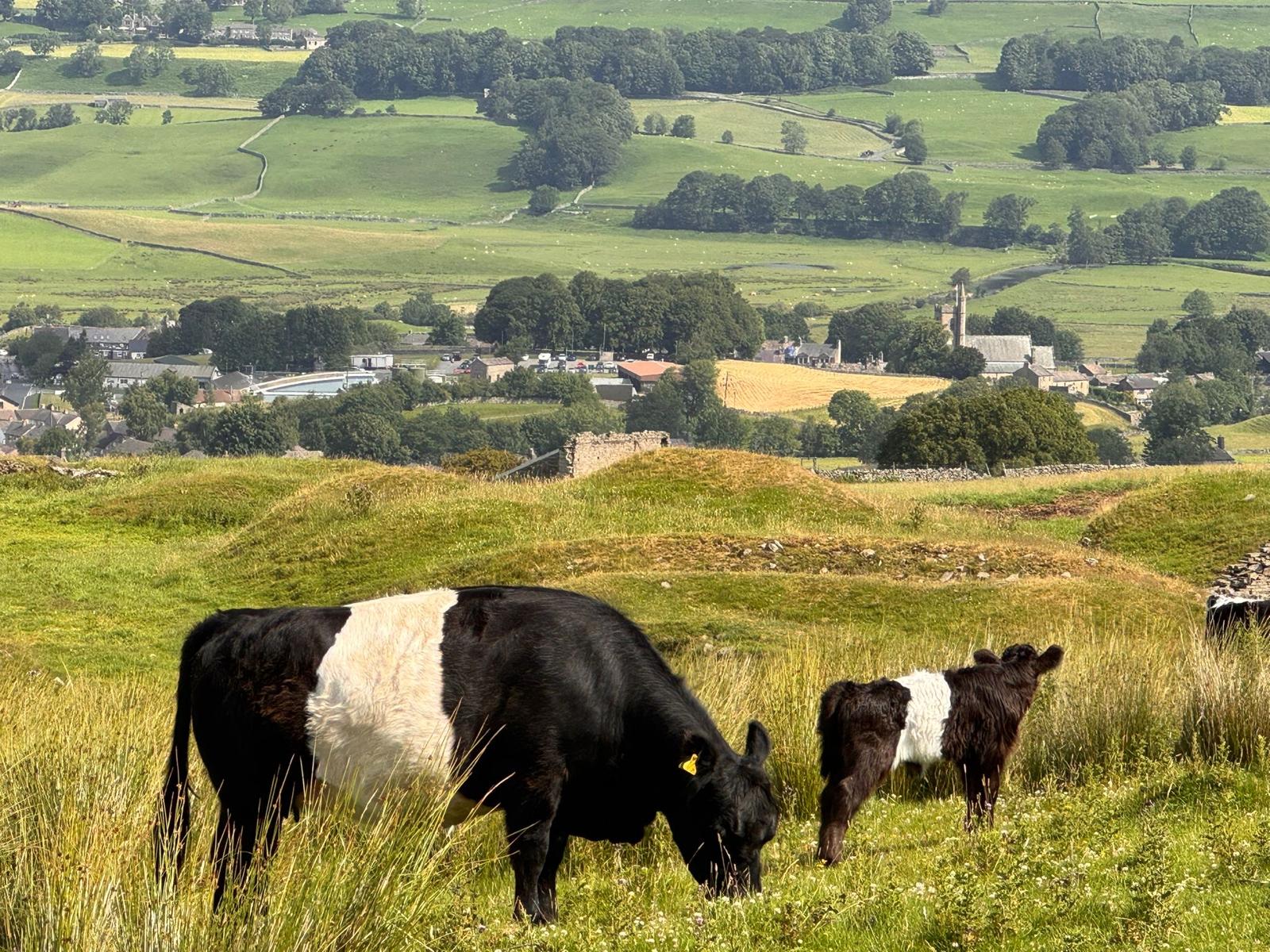 About Our Farm